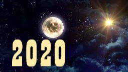    2020    